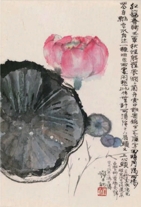 说明: IMG_256